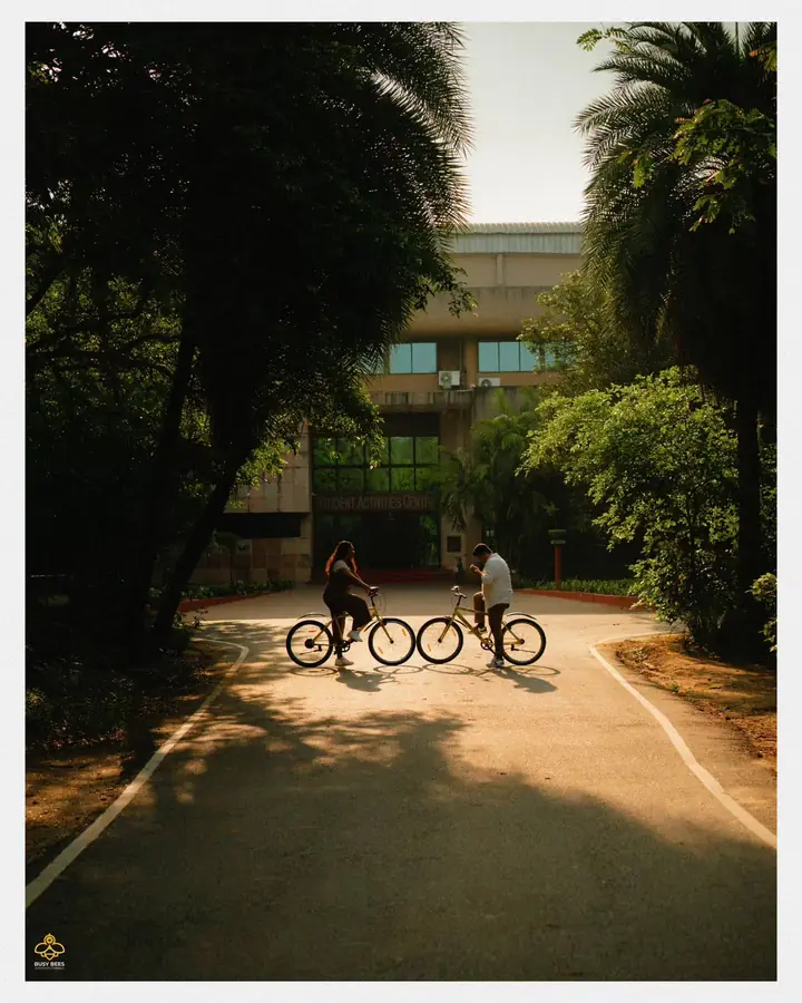 Couple ride bicycles down a tree-lined campus road in the evening light